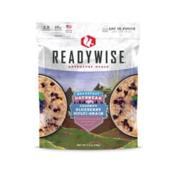 Daybreak Coconut Blueberry Multi-Grain - 6 Count Case - ReadyWise